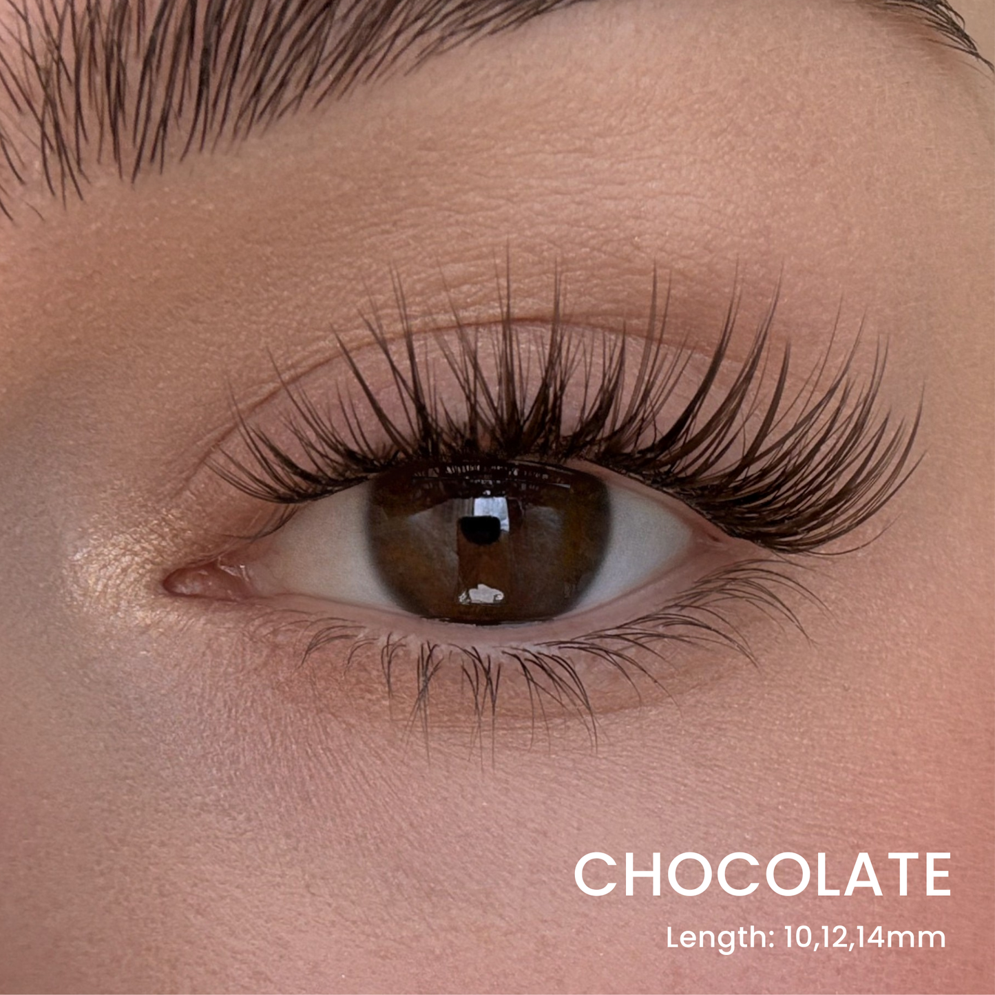 Triple Lash Clusters Bundle