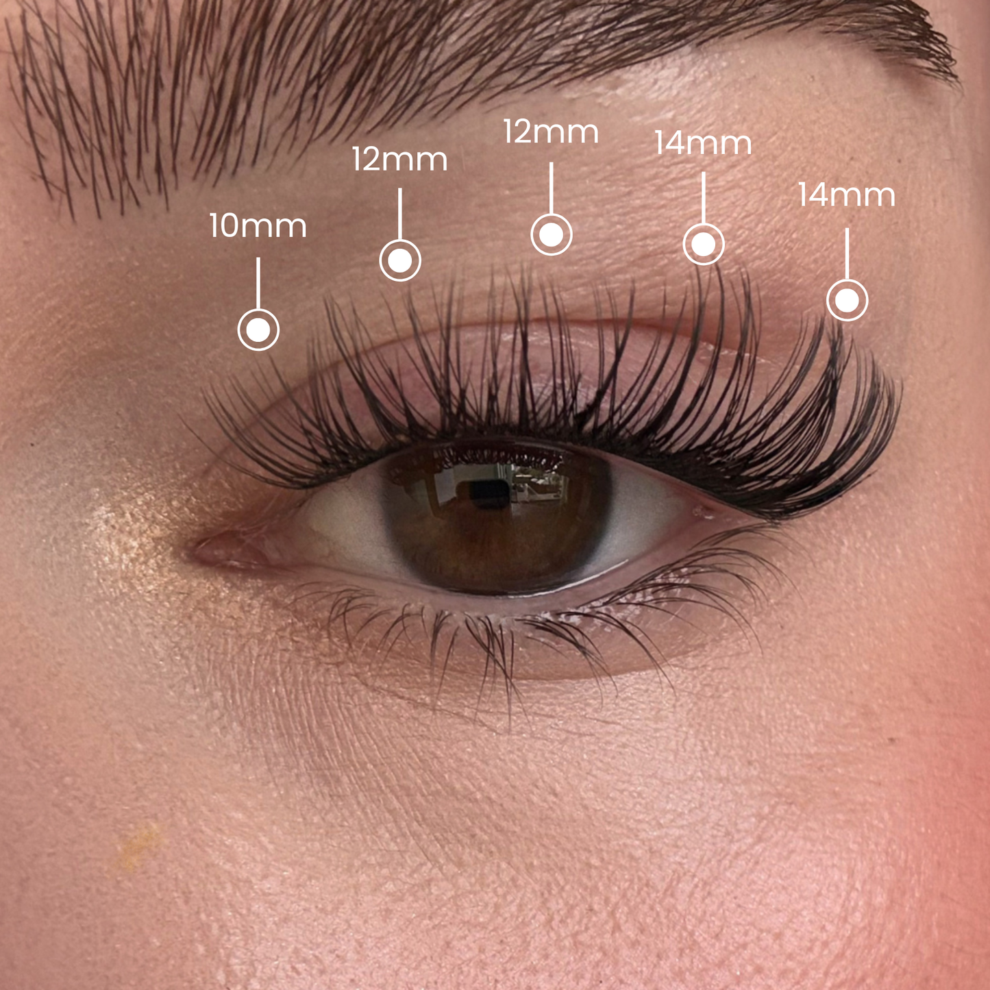 DIY lashes extensions Lash Glow