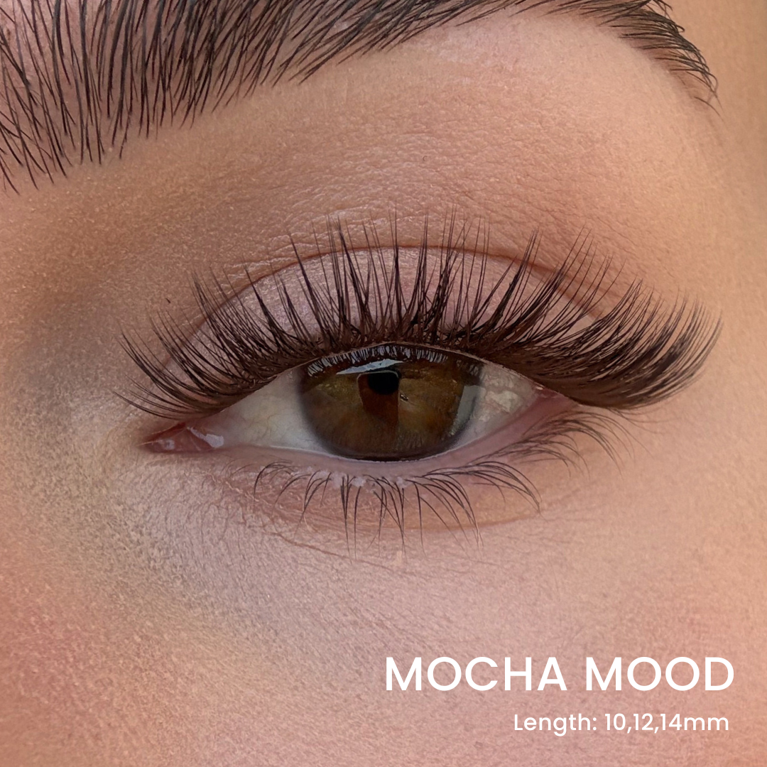 Triple Lash Clusters Bundle