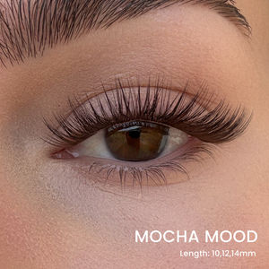 Triple Lash Clusters Bundle