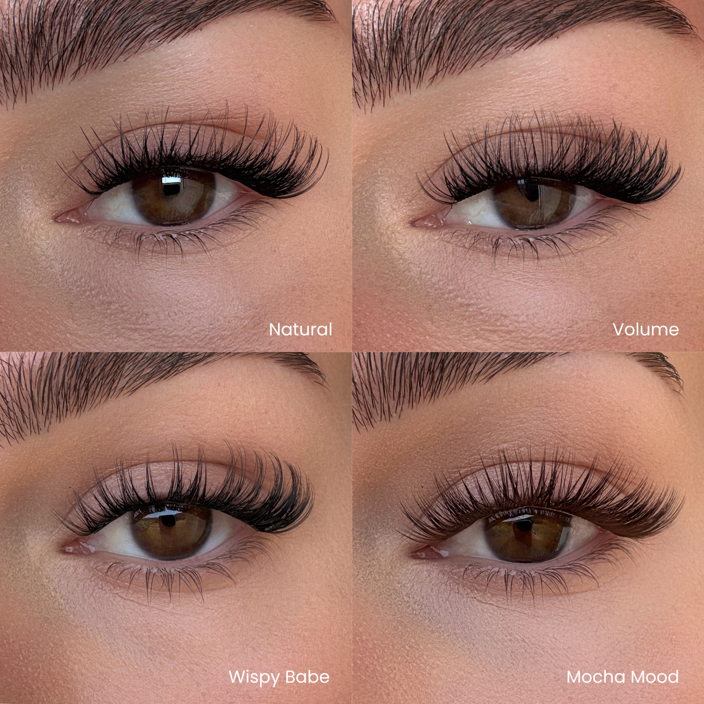 Favorite Starter Kit