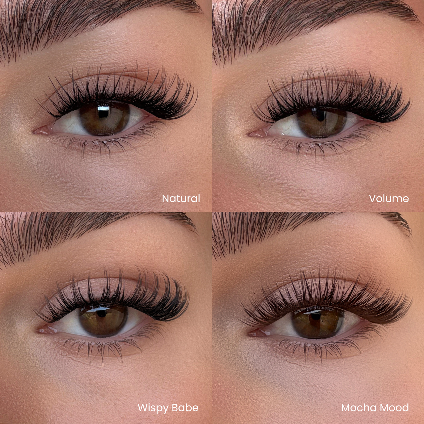 Favorite Starter Kit