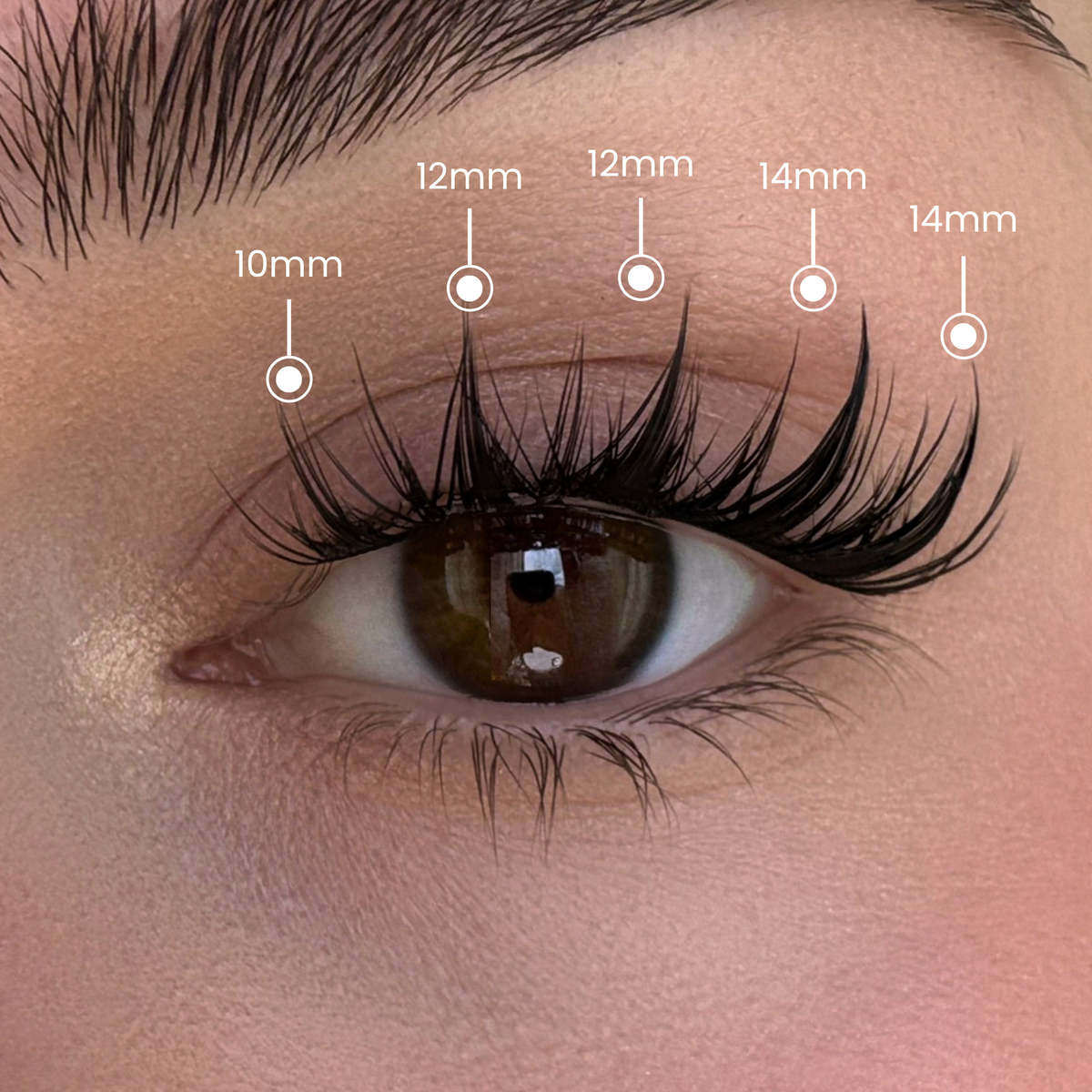 Baby Doll - Mixed Length Clusters