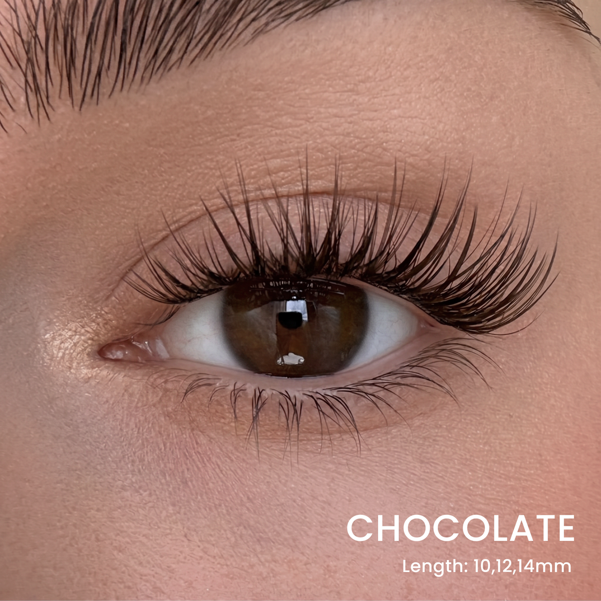 Six Lash Clusters Bundle