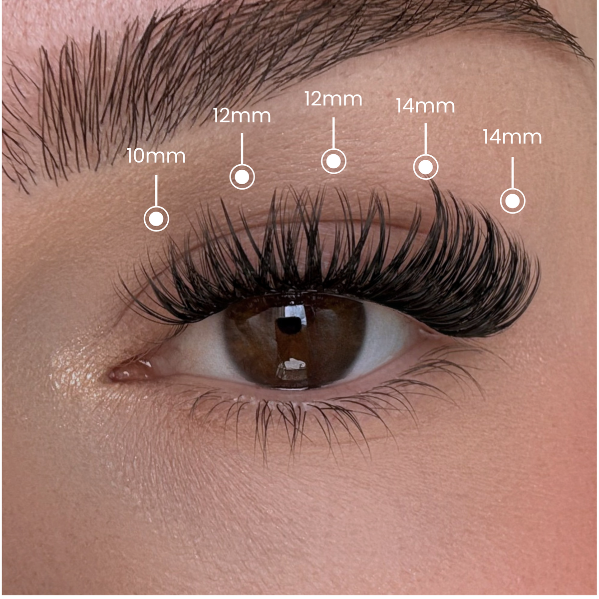 Dreamy - Mixed Length Clusters