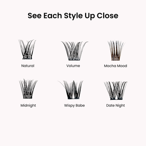 Favorite Starter Kit