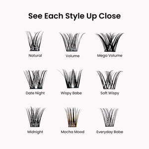 Favorite Starter Kit