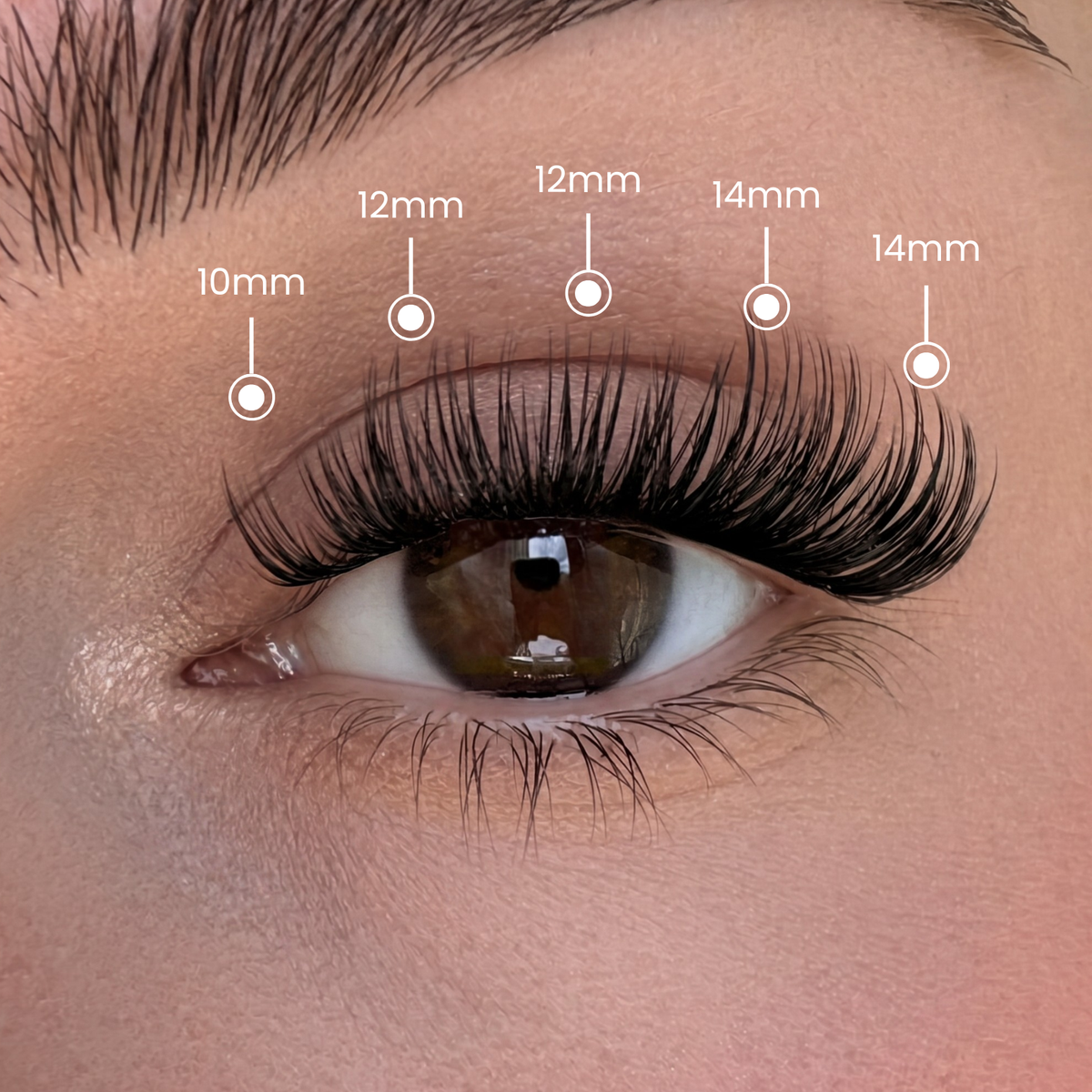 Full Glam - Mixed Length Clusters