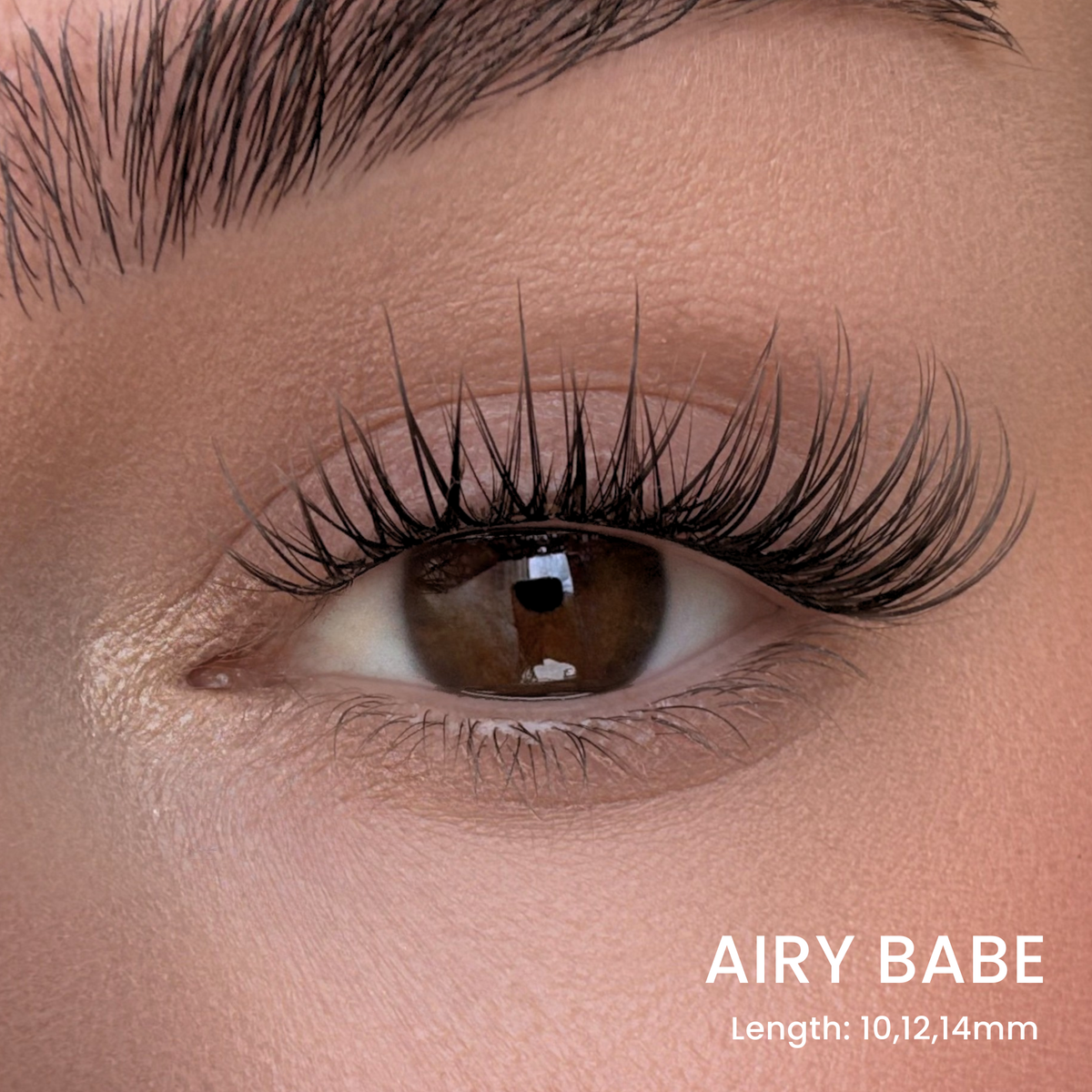 Six Lash Clusters Bundle