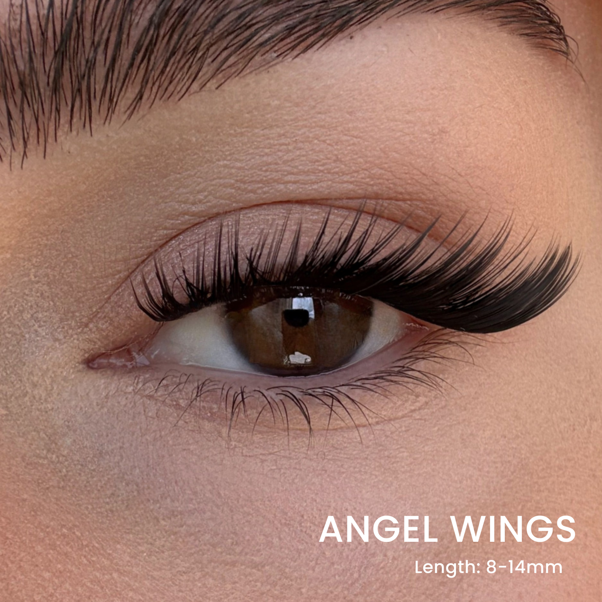 Six Lash Clusters Bundle