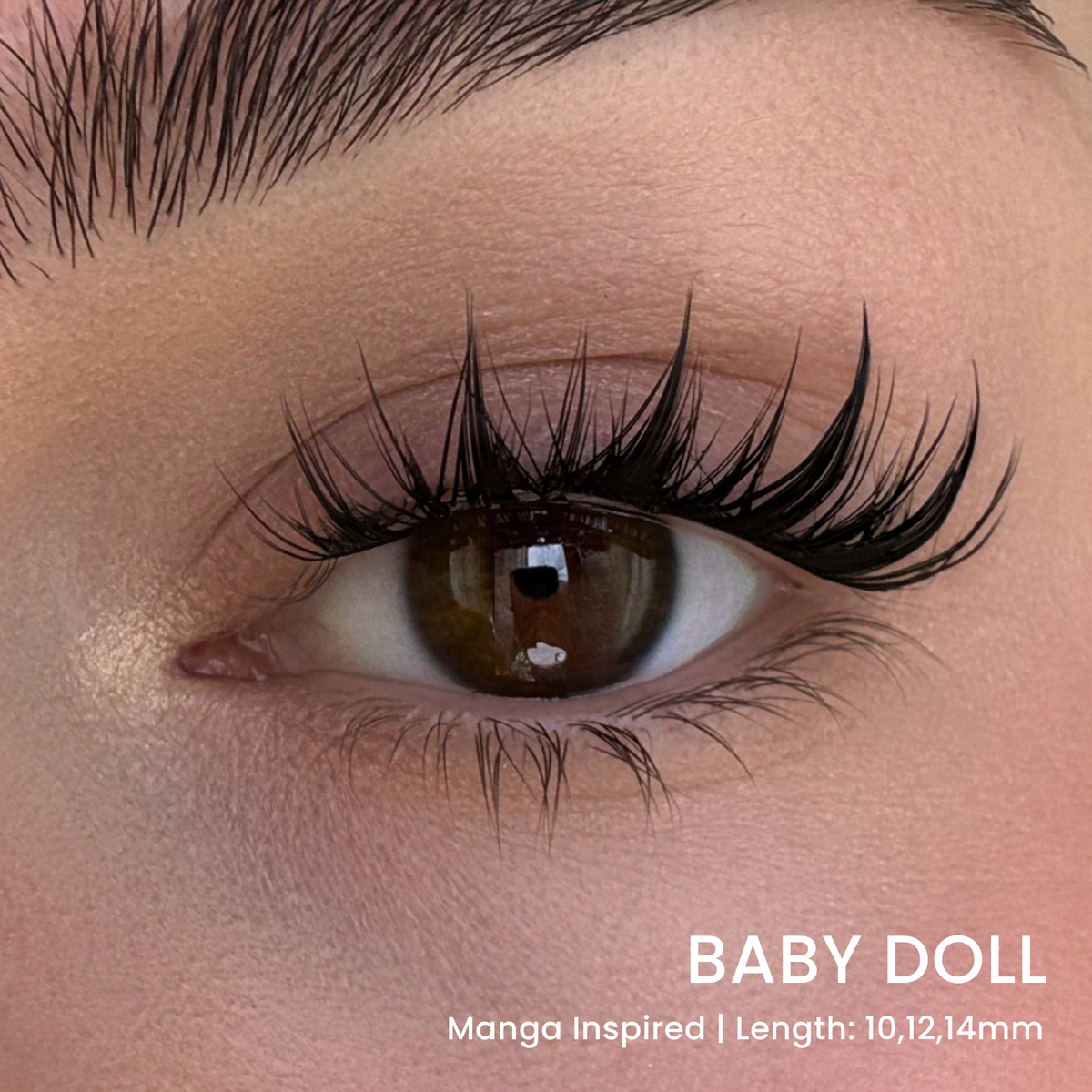 Six Lash Clusters Bundle