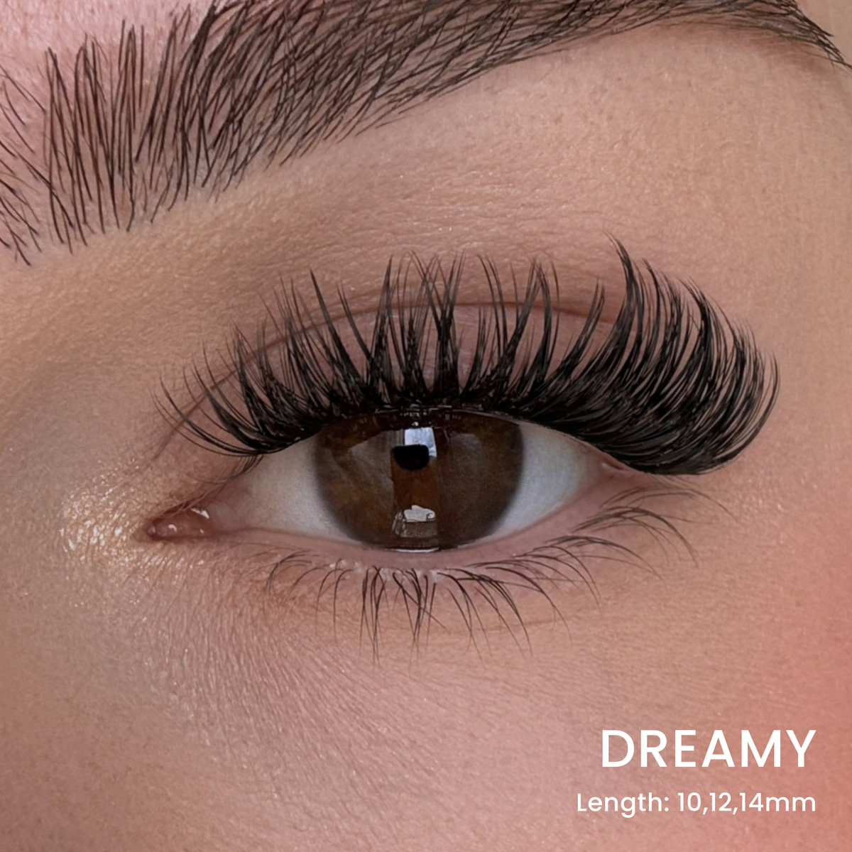Six Lash Clusters Bundle