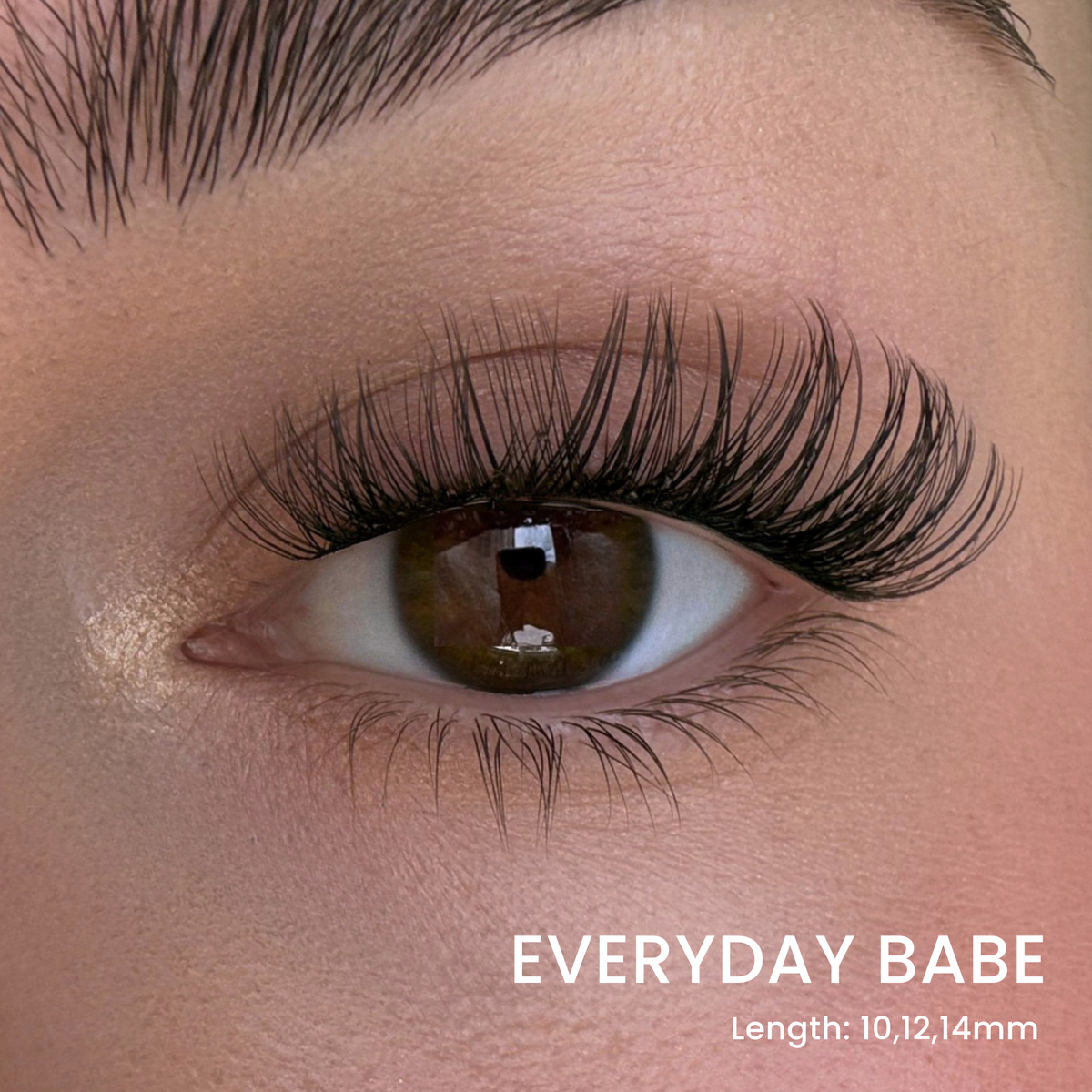 Six Lash Clusters Bundle