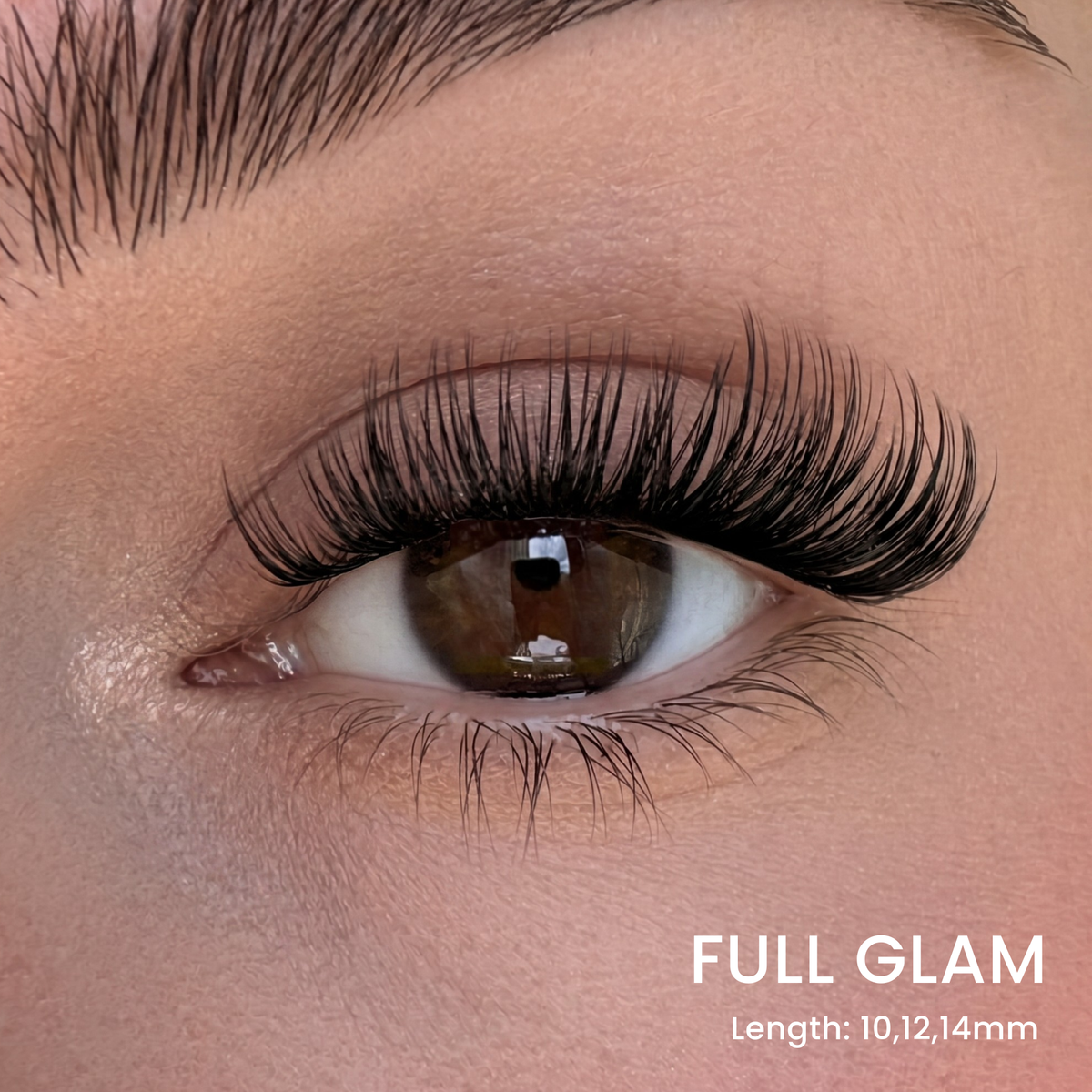 Six Lash Clusters Bundle