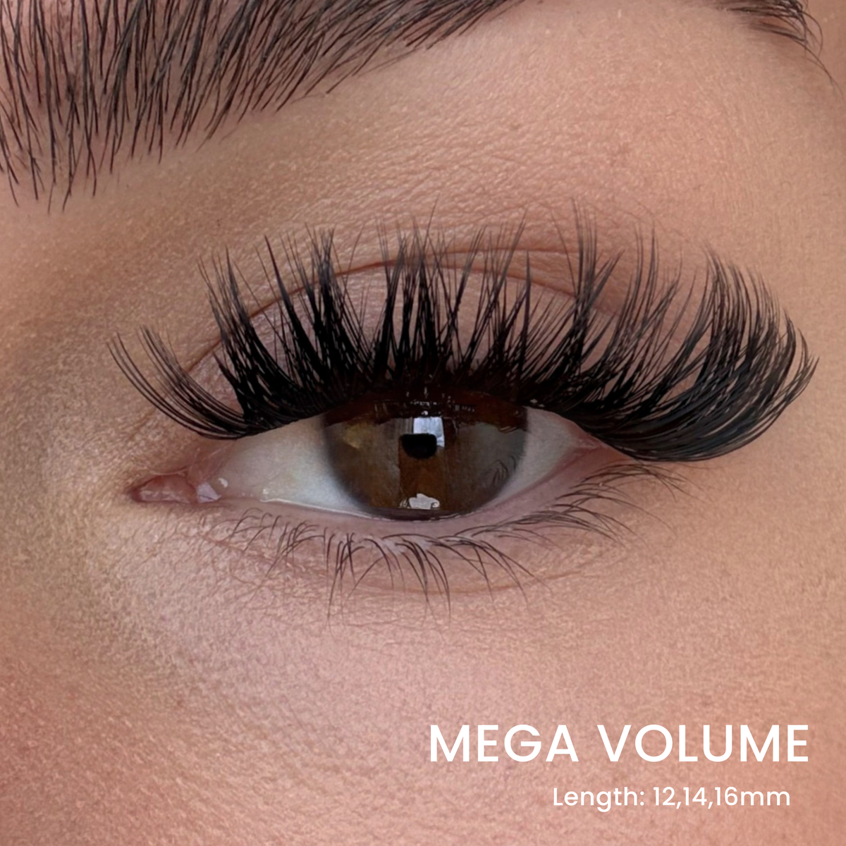 Six Lash Clusters Bundle
