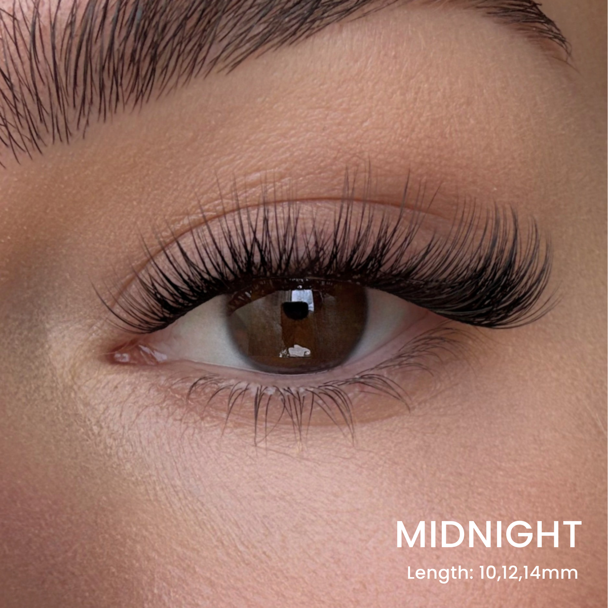 Six Lash Clusters Bundle