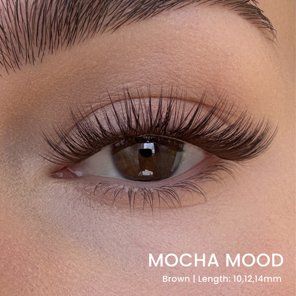 Triple Lash Clusters Bundle
