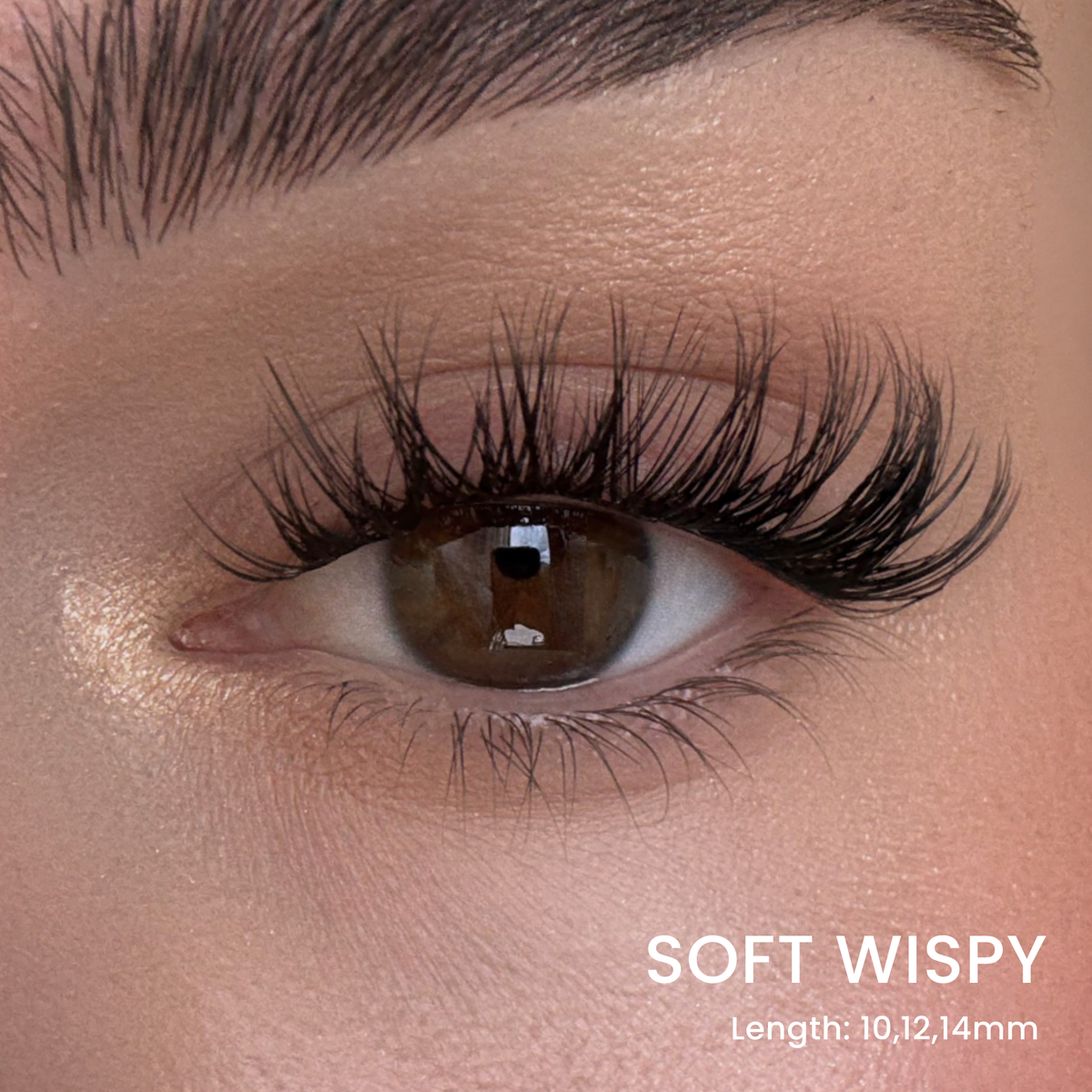 Six Lash Clusters Bundle