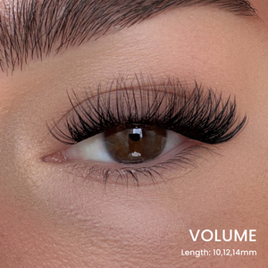 Triple Lash Clusters Bundle