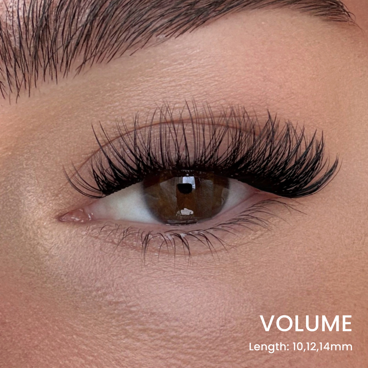 Six Lash Clusters Bundle