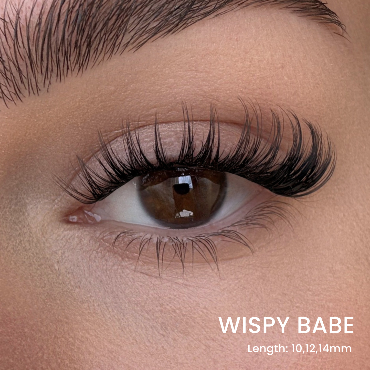 Triple Lash Clusters Bundle