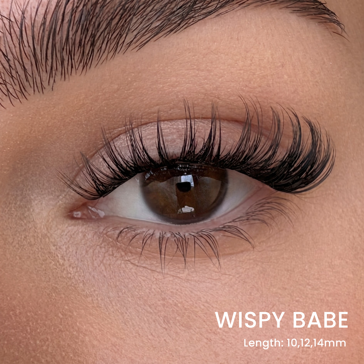 Six Lash Clusters Bundle