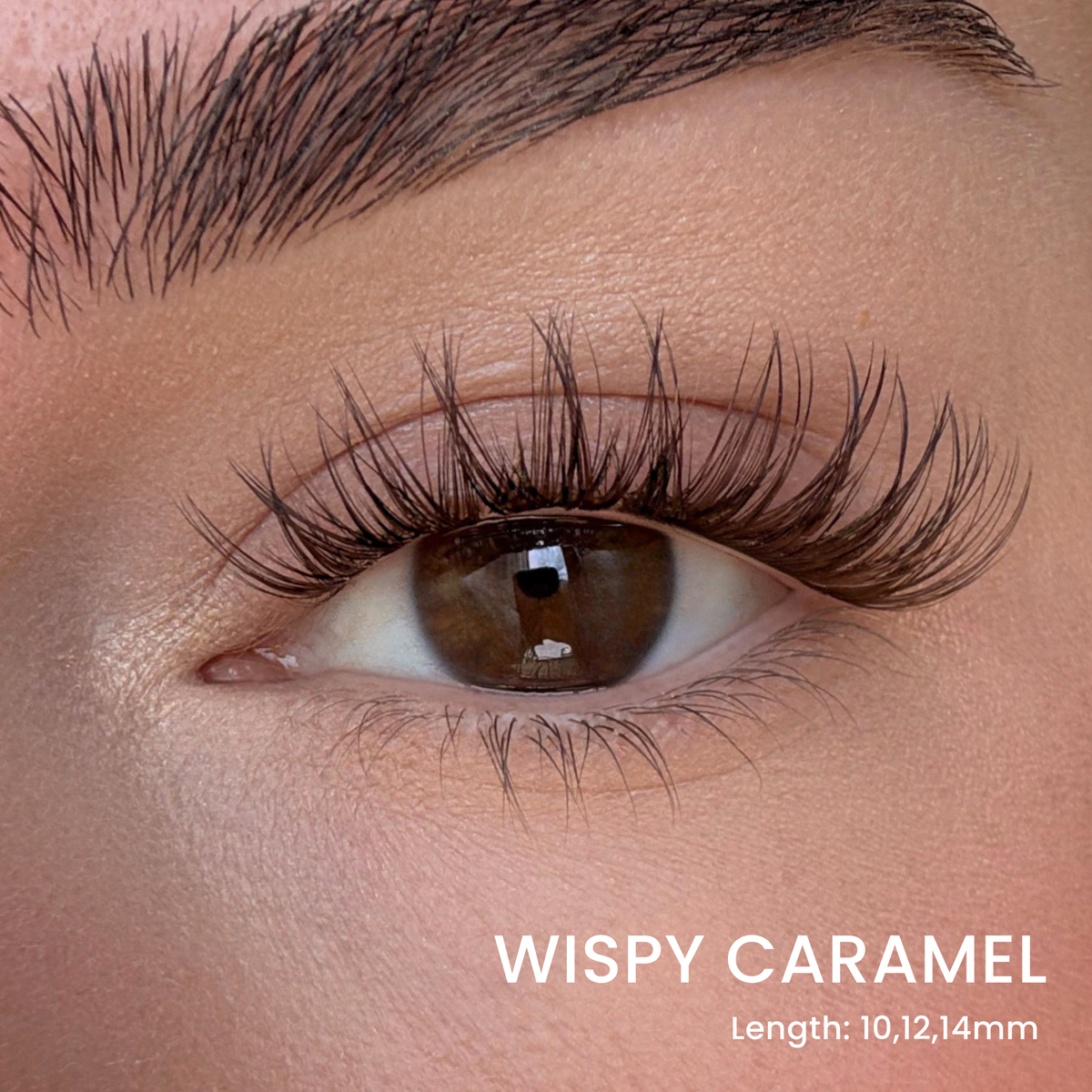 Six Lash Clusters Bundle