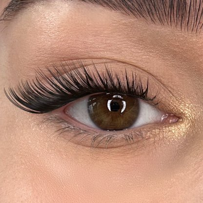 Lash Glow DIY Lashes Extensions