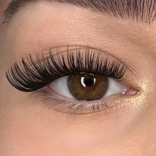 Lash Glow DIY Lashes Extensions