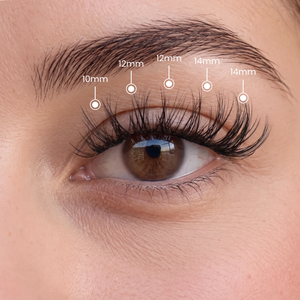 Soft Wispy - Clusters de Longitudes Mixtas