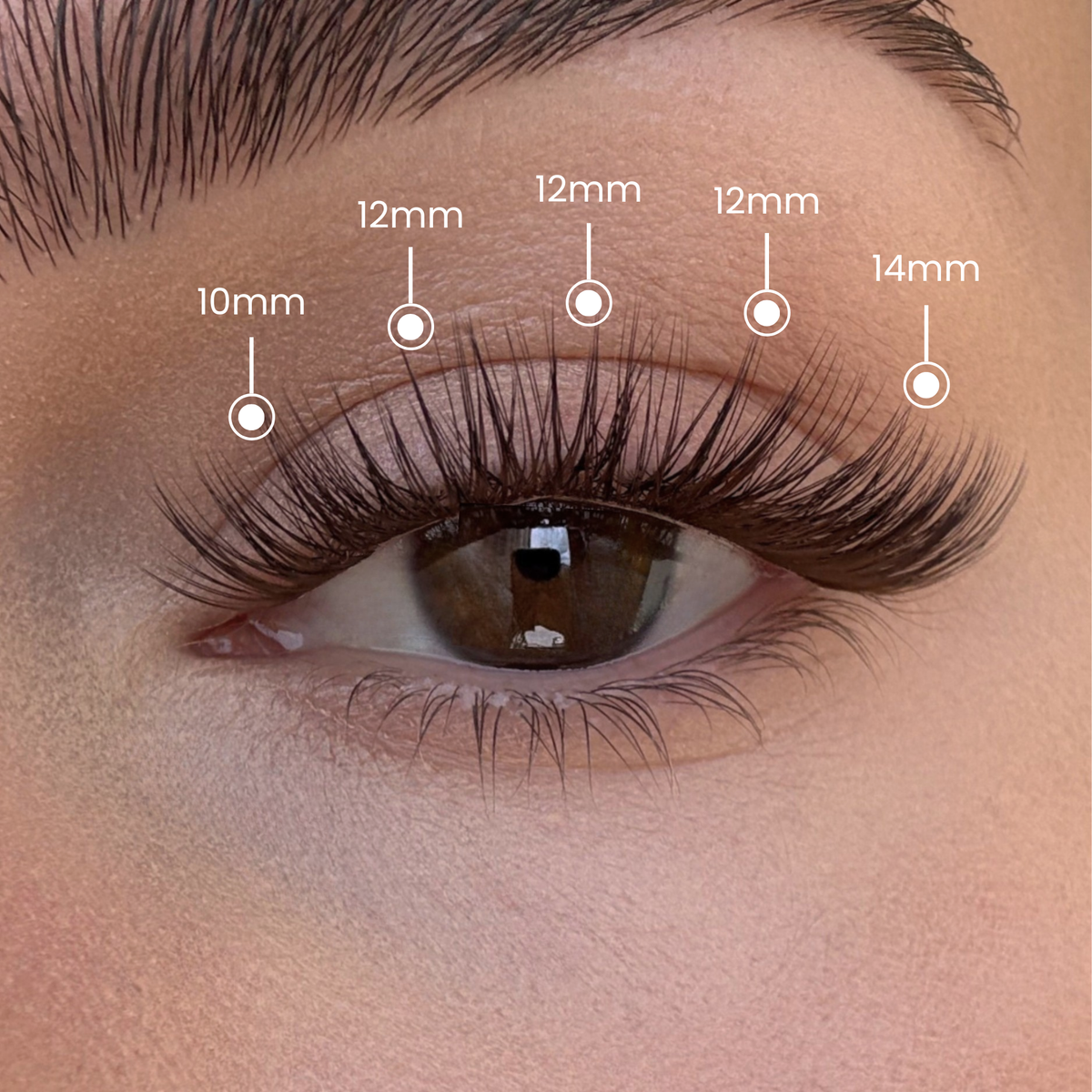 Mocha Mood - Mixed Length Clusters