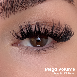Triple Lash Clusters Bundle