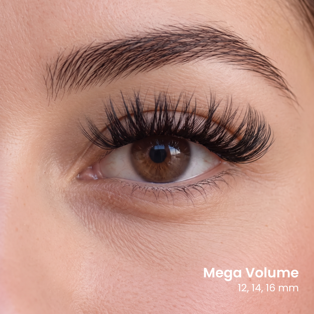 Triple Lash Clusters Bundle