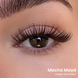Triple Lash Clusters Bundle