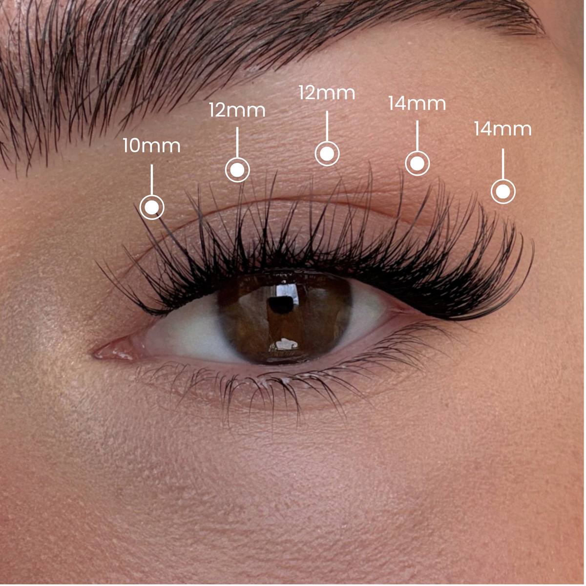 Natural - Mixed Length Clusters