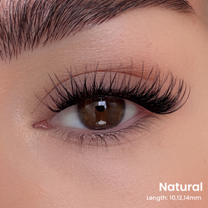 Triple Lash Clusters Bundle