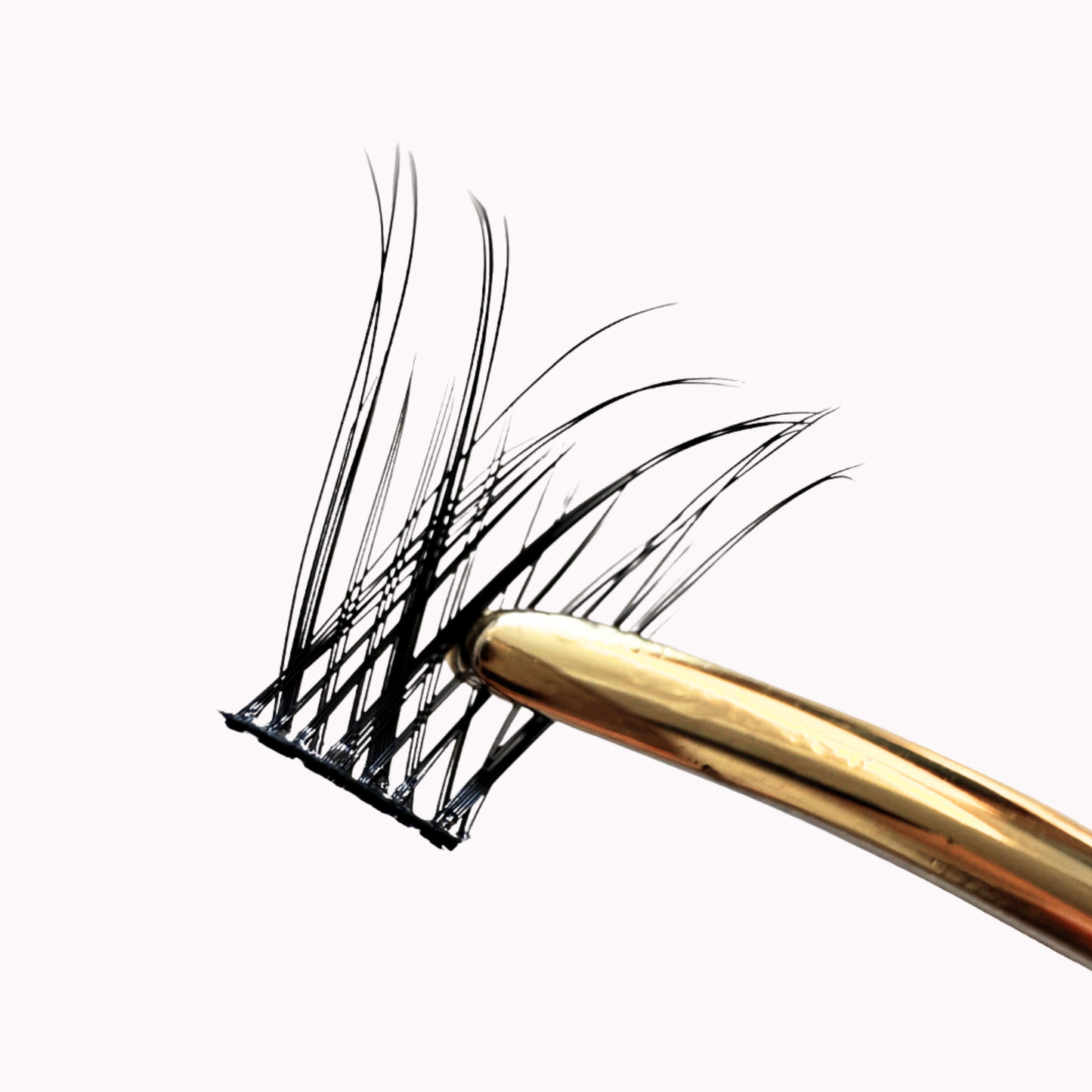 DIY lashes extensions