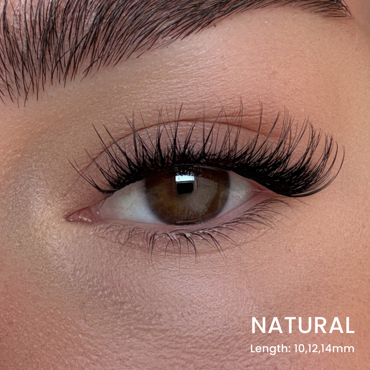 Six Lash Clusters Bundle