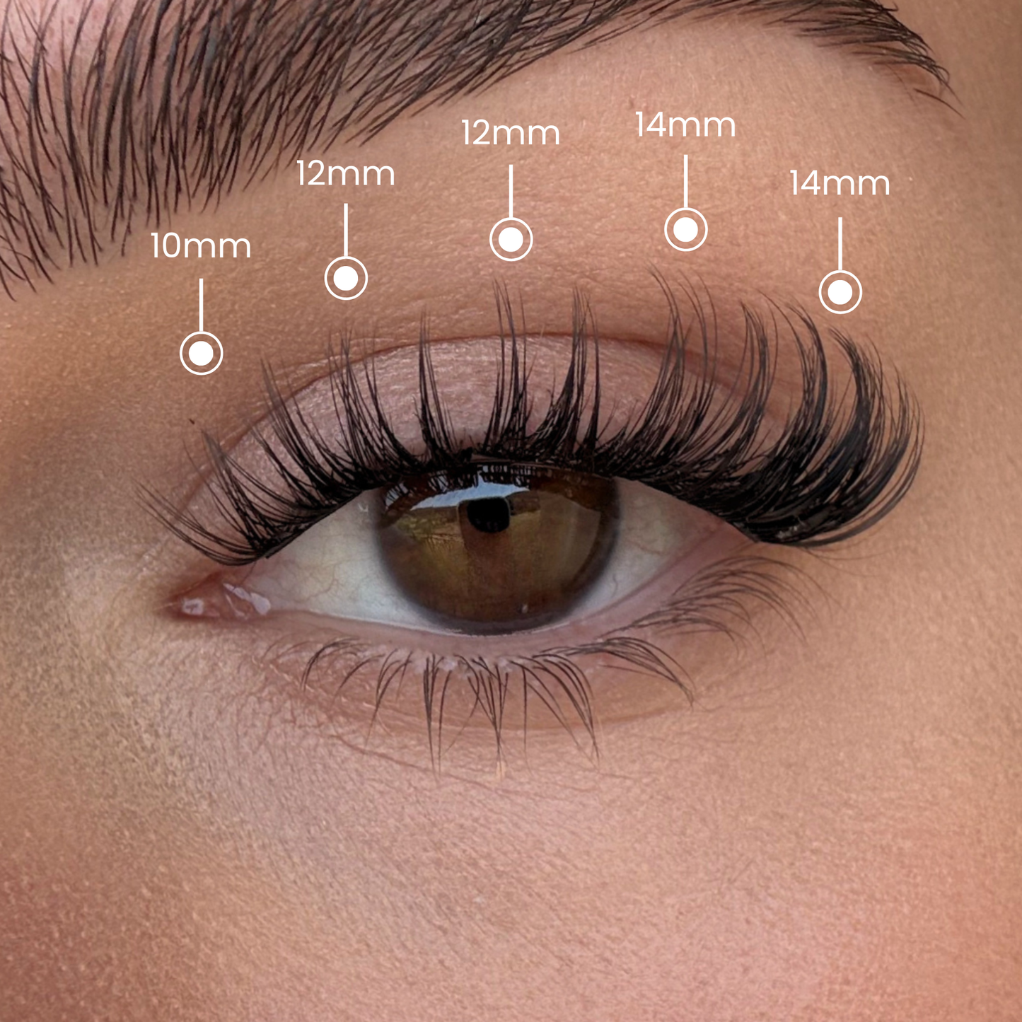 Favorite Starter Kit