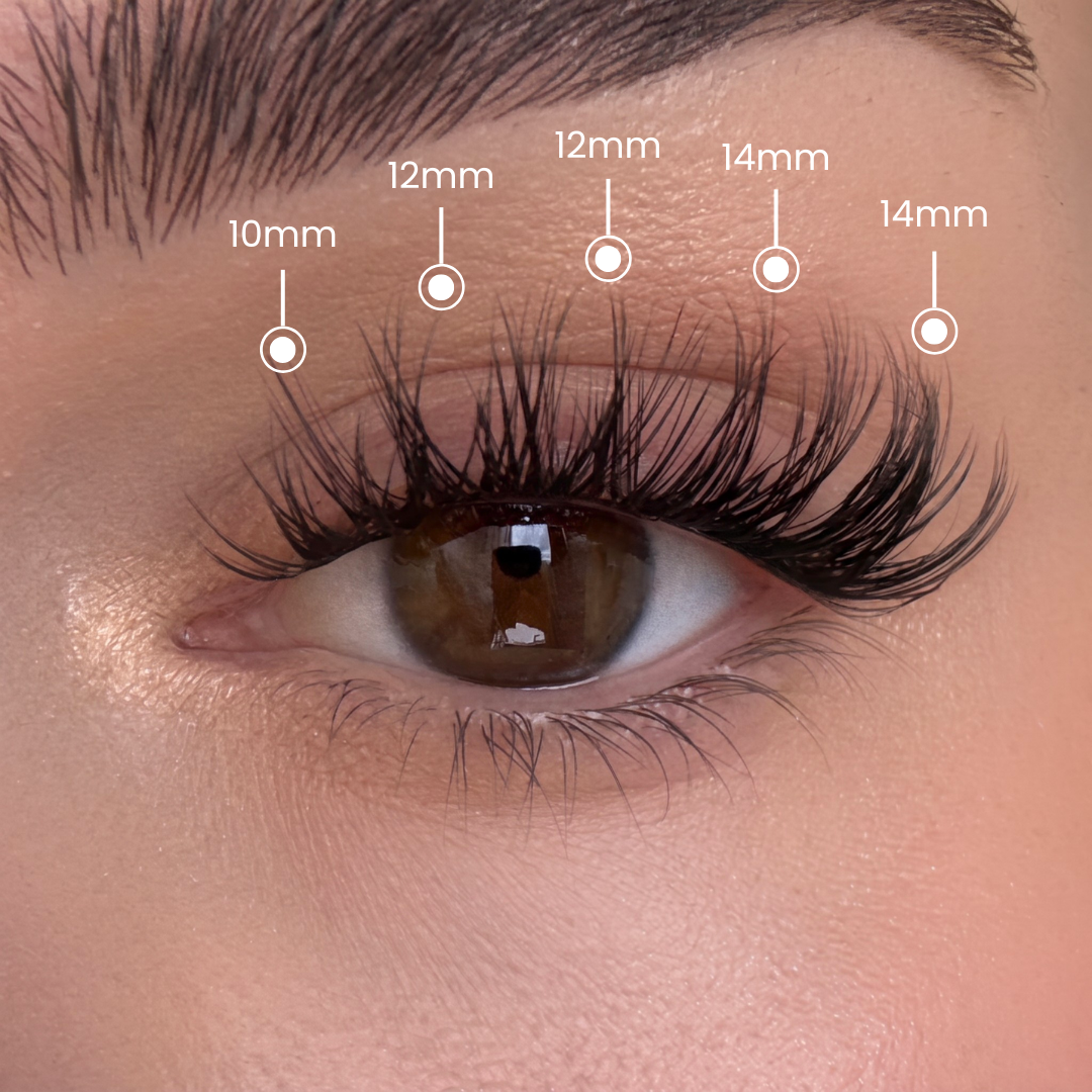 Soft Wispy - Clusters de Longueurs Mixtes