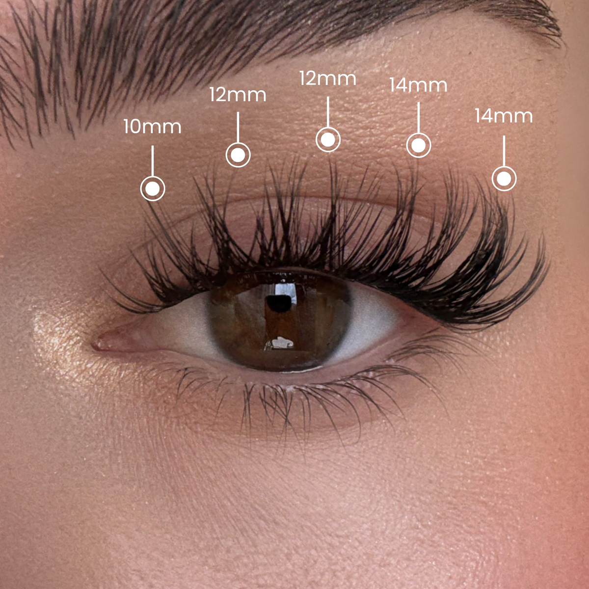 Soft Wispy - Mixed Length Clusters