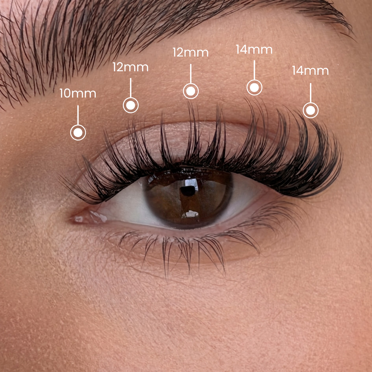 Wispy Babe - Mixed Length Clusters