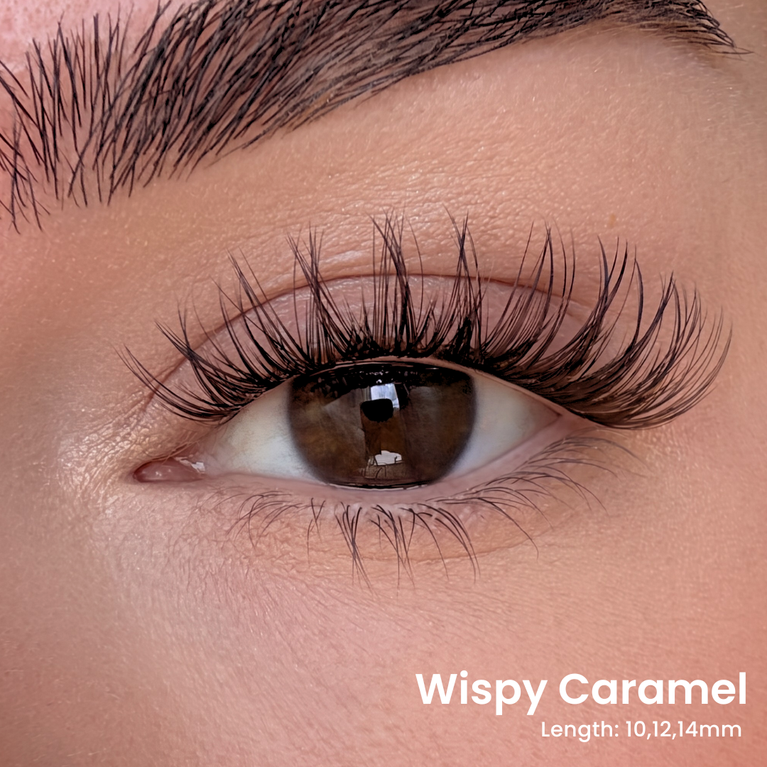 Triple Lash Clusters Bundle